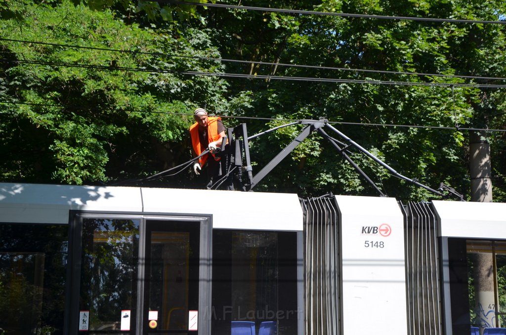 KVB Bahn defekt Koeln Buchheim Heidelbergerstr P37.JPG - Miklos Laubert